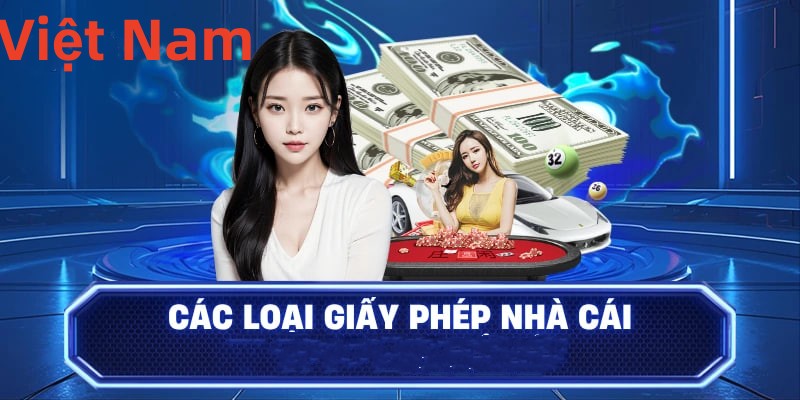 95vn